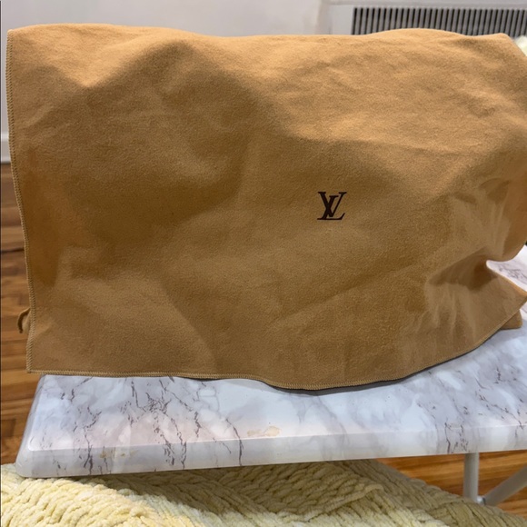 Louis Vuitton St.Cloud bag - Picture 11 of 15